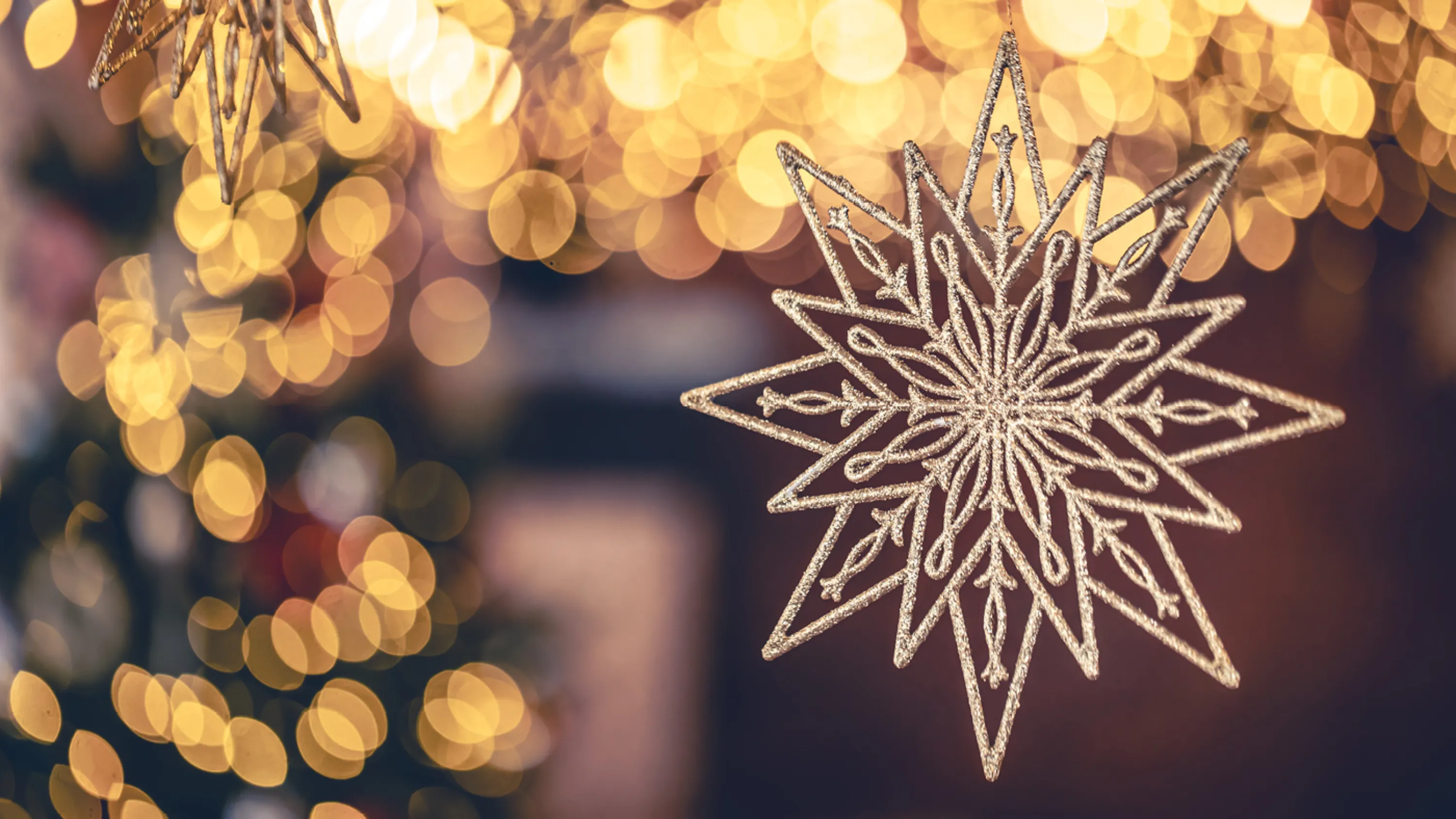 älteres Paar sitzt auf einer Parkbank